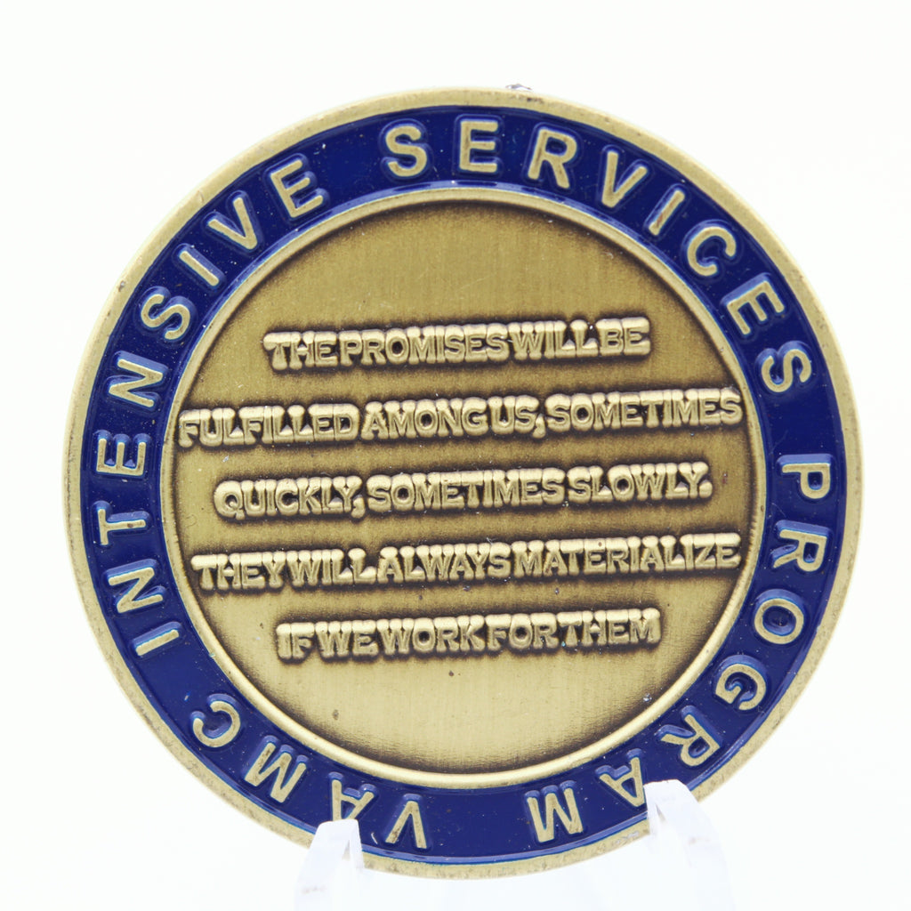 VA CMG Intensive Services Program Challenge Coin Law Enforcement Veterans Eagle Pre-owned