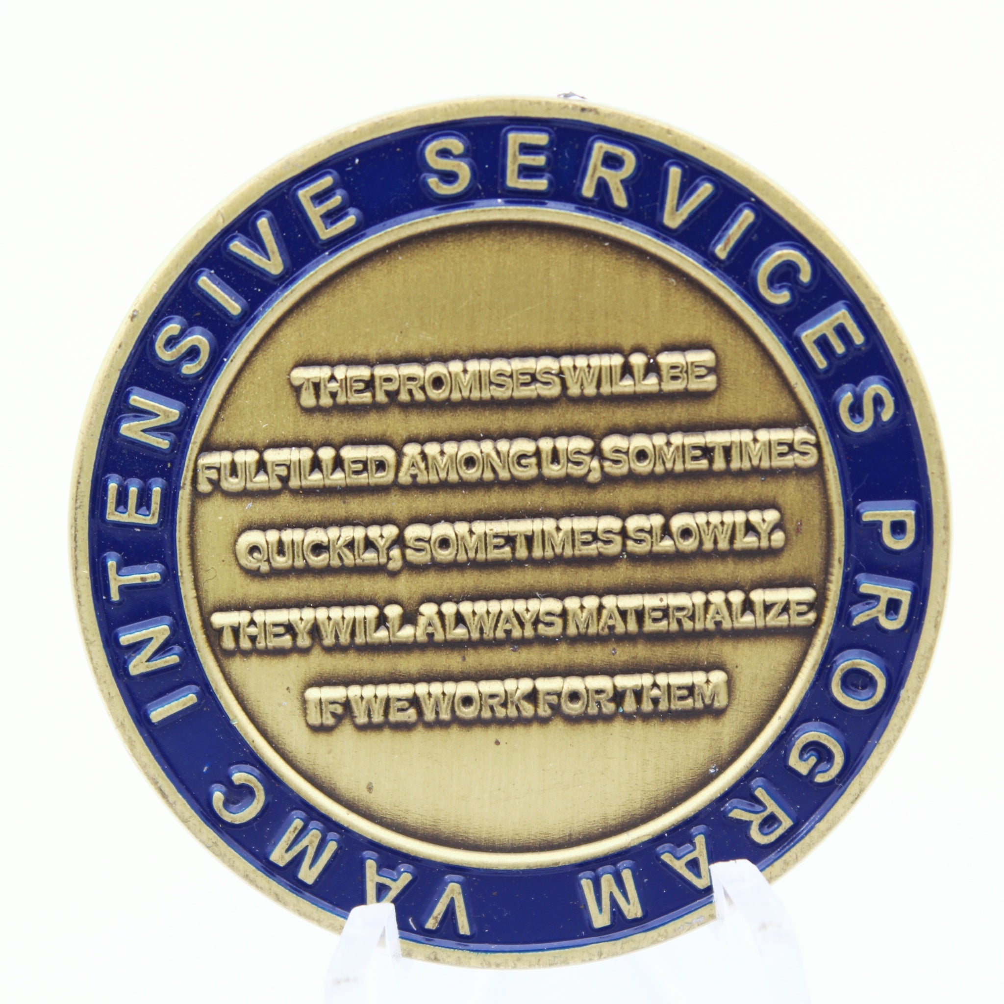 VA CMG Intensive Services Program Challenge Coin Law Enforcement Veterans Eagle Pre-owned