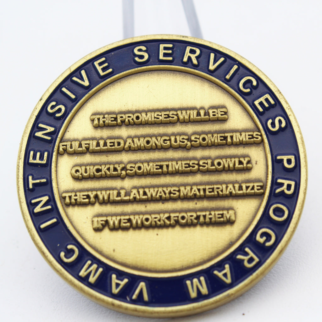 VA CMG Intensive Services Program Challenge Coin Law Enforcement Veterans Eagle Pre-owned