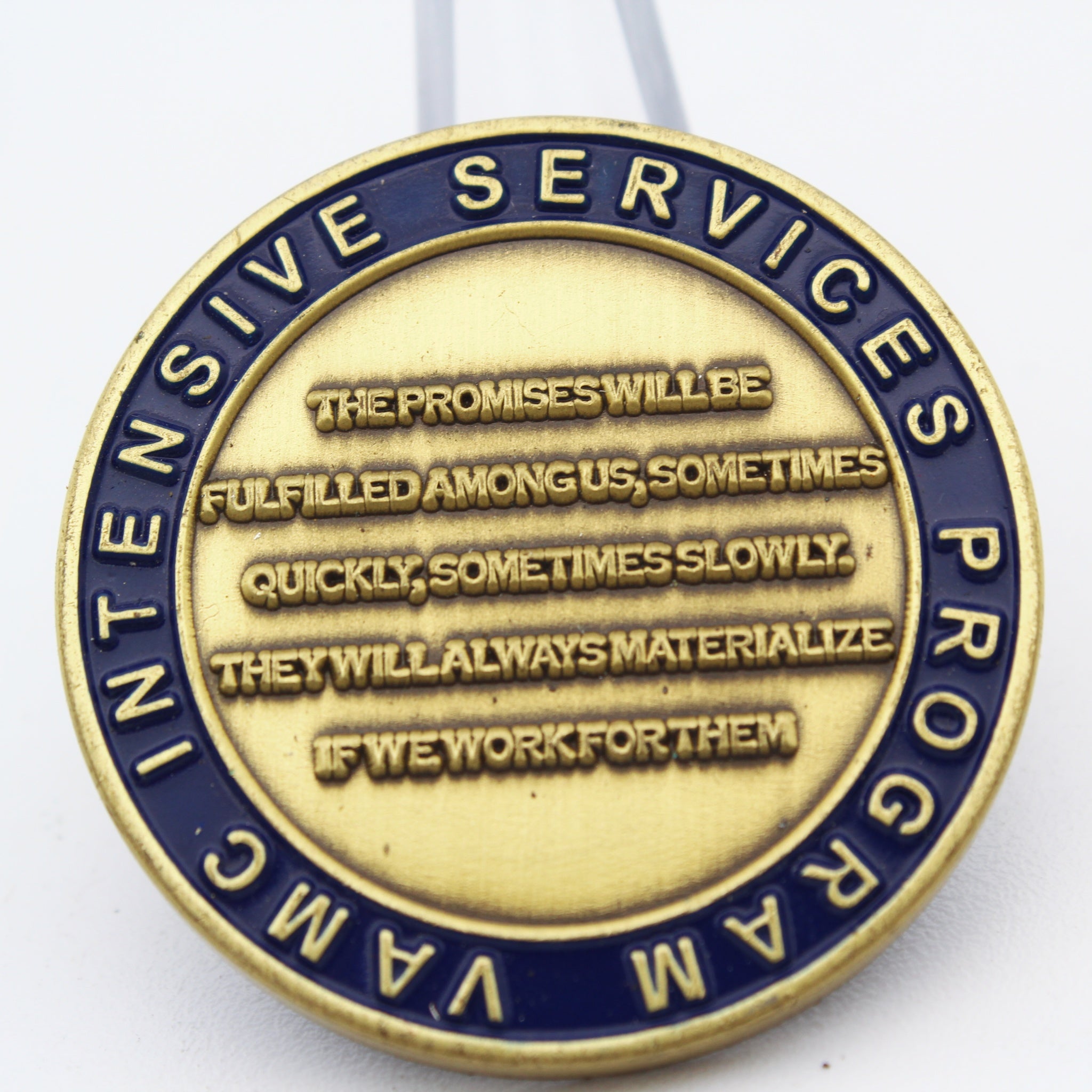 VA CMG Intensive Services Program Challenge Coin Law Enforcement Veterans Eagle Pre-owned